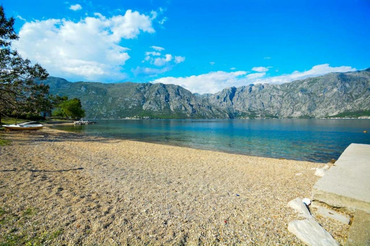 Seaside And Apartment Kotor